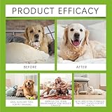 KOAHDE Bitterspray für Hunde und Katzen,Anti-Kratz-Spray für Katze & Hund,Anti Kau Spray für Katzen,Fernhaltespray für Hunde,Katzenabwehrspray für Katzen Effektiv,50ML,1PC
