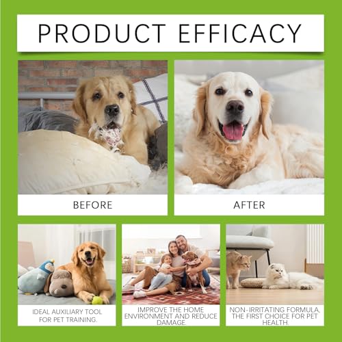 KOAHDE Bitterspray für Hunde und Katzen,Anti-Kratz-Spray für Katze & Hund,Anti Kau Spray für Katzen,Fernhaltespray für Hunde,Katzenabwehrspray für Katzen Effektiv,50ML,1PC