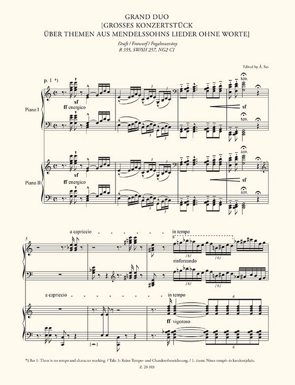 Grand duo - Franz Schuberts Grosse Fantasie. Klavier Duett.