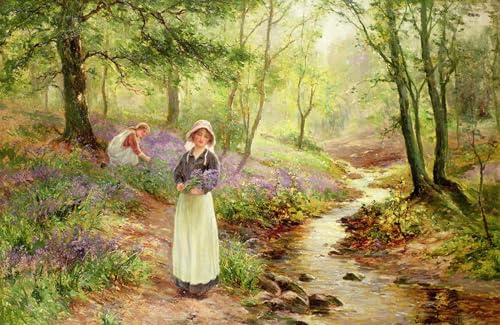 Pintura de lienzo de Ernest Walbourn cuadro decorativo Campanula de 60x90cm para pared