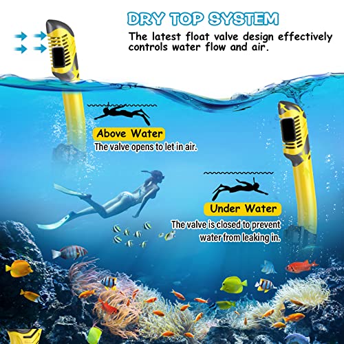 image for Greatever Dry Snorkel Set,Panoramic Wide View,Anti-Fog Scuba Diving Ma