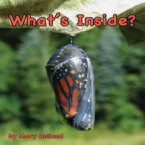 What's Inside? by Mary Holland episode artwork