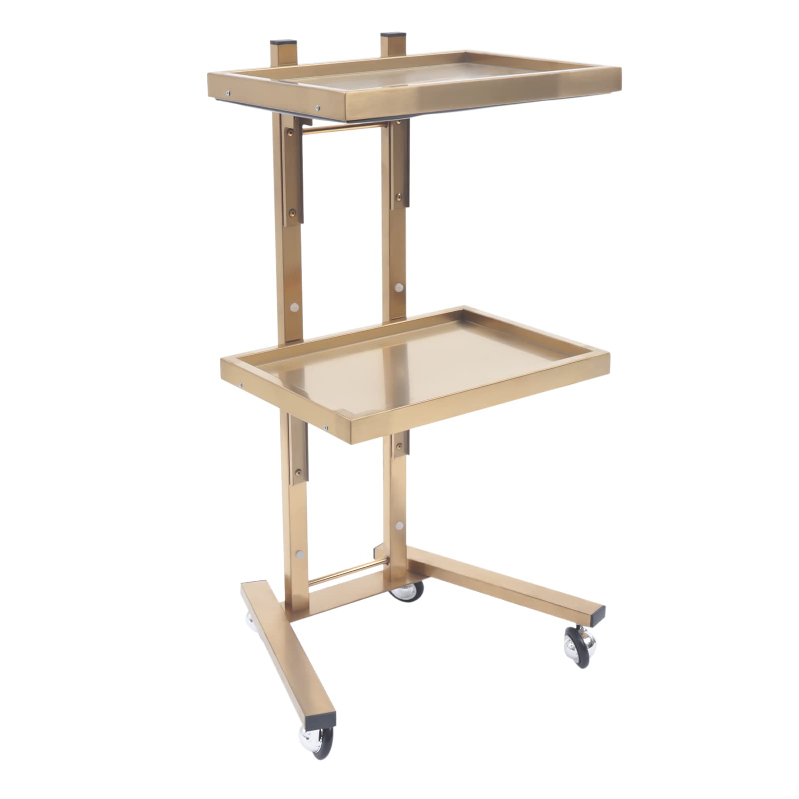 KONKENIE 2 Tier Foldable Trolley with Stainless Steel Tray Universal Rolling Tray Cart Storage Mobile Trolley Equipment for Hair Salon Spa Beauty Shop