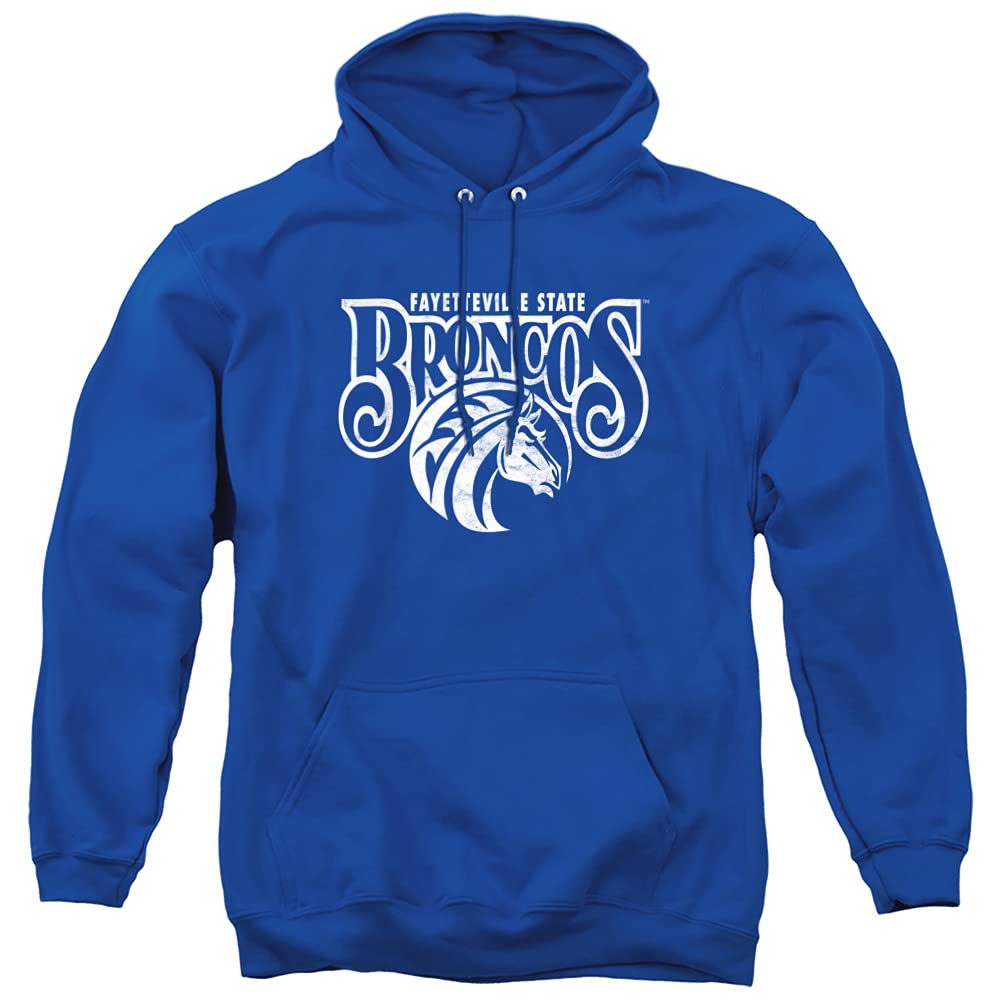 LOGOVISION Official Collegiate Distressed Primary Logo Adult Pullover Hoodie Collection — view 521