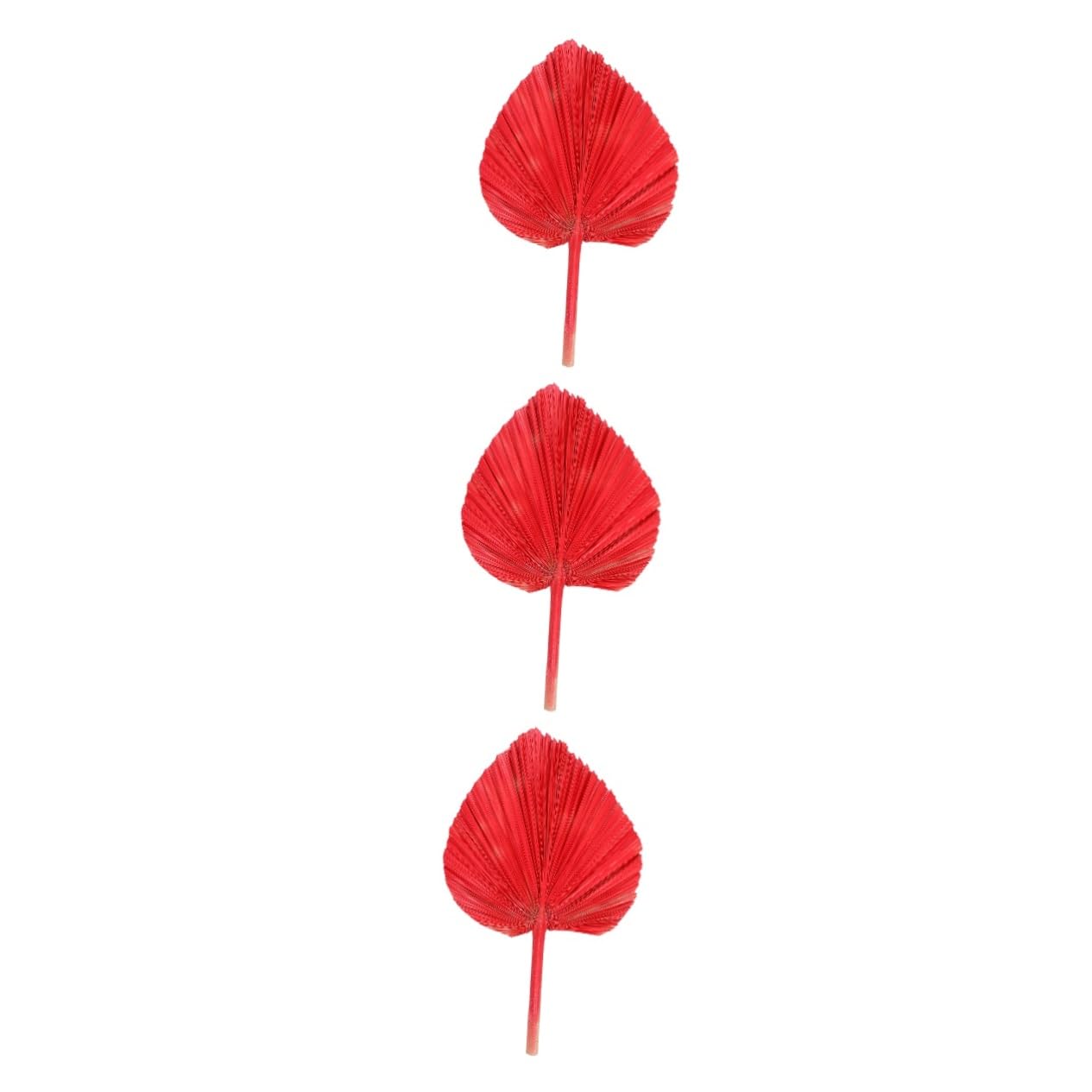 Zerodeko 3 Stücke Elegante Getrocknete Palm Blatt Fan Chic Schmuck Für Hochzeit Schmuck Blatt Getrocknete Blatt Ornament