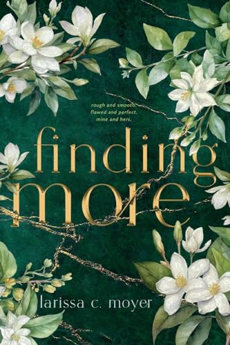 finding more view 2