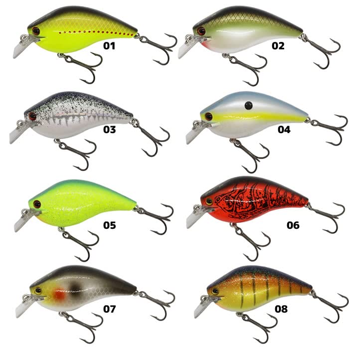 Amazon | イチカワフィッシング(Ichikawafishing) RC キングコング