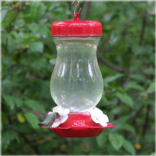 Perky-Pet 132TF 24-Ounce Glass Top Fill Hummingbird Feeder,Red,Large - Image 3