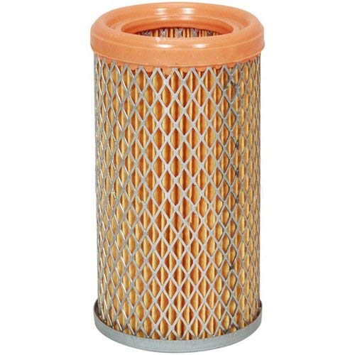 ㅎㅊㅋ Amazon.com: FORKLIFT AIR FILTER (FIRE RET.) A218870 : Automotive