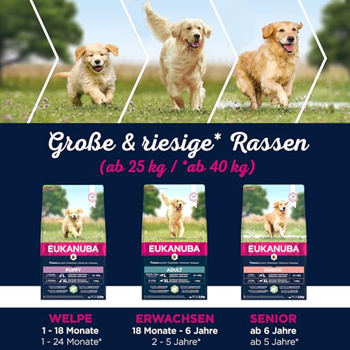 Eukanuba Welpenfutter mit Lamm & Reis für große Rassen - Trockenfutter für Junior Hunde, 2,5 kg