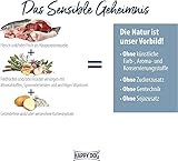 Happy Dog Sensible Greece - M - Trockenfutter, Hundefutter - Geschmacksrichtung Lamm, Shrimps & Calamari - 2x11kg