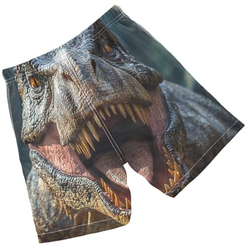 Pigsaly Boys' Swim Board Shorts Open Mouth Jurassic Tyrannosaurus Rex Roared Fiercely Dinosaur Boy's Swim Trunks Swimwear M2