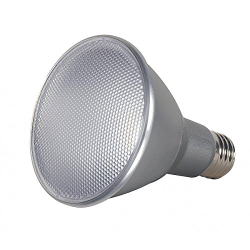 13PAR30 LED BULB 40' LN NL