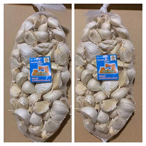 バラにんにく520g・2袋 青森県産ホワイト六片種にんにく お徳用利ん片大小粒コミ 国産にんにく ばらにんにく