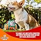 Pet Craft Supply Hide and Seek Plüsch-Hundespielzeug, knisternd, quietschend, interaktives Puzzle, Kauen, Apportieren, Leckerlis, verstecken, Gehirn, stimulierend, niedlich, lustiges Spielzeug-Set für