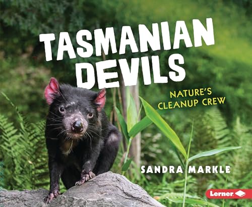 Why Are Tasmanian Devils Endangered? - Conserve Energy Future