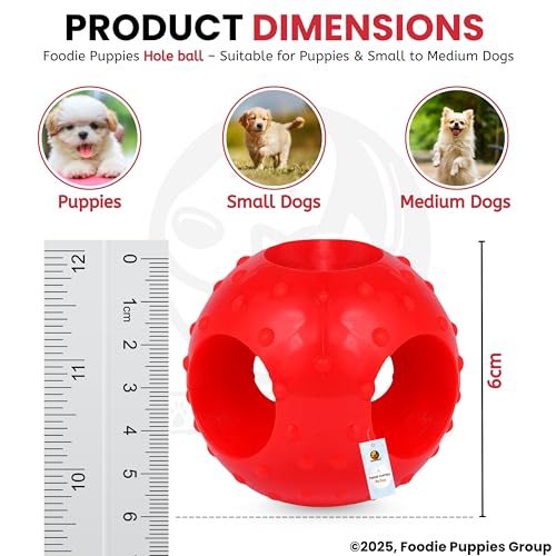 Image of Foodie Puppies Natural Rubber Flavored Hole Ball - 2.35inch / 6cm | Suitable for Small to Medium Dogs and Puppies | Chewing, Teething, and Training Ball Toy
