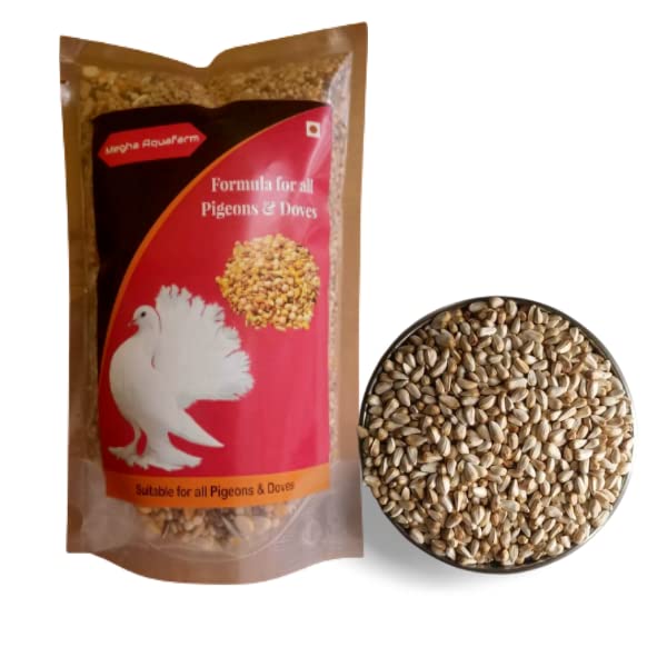 Pigeon & Dove Feed Enriched with Cuttlefish Bone and Safflower Seed for Birds 450 Grams Combo (B09S12SSBW) Amazon Price History, Amazon Price Tracker