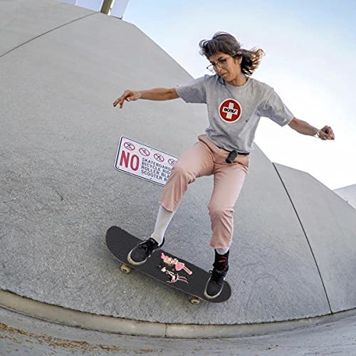 N~  XP[g{[h XebJ[ hXebJ[ mouXP[g {[he[vt Thy[p[XP[g hX|[c fJ[ OXP[g{[h s ] X[cP[X wbg  m[gubNȂǓKp