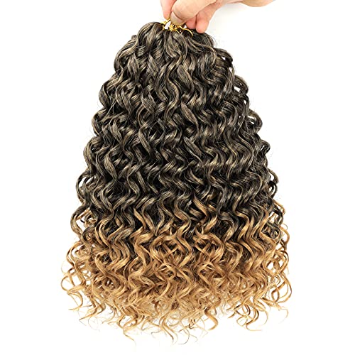 Dansama GoGo Curl Crochet Braids for Water Wave Crochet Synthetic Hair Extensions (12 inch (Pack of 6), T1B/27, Plus)