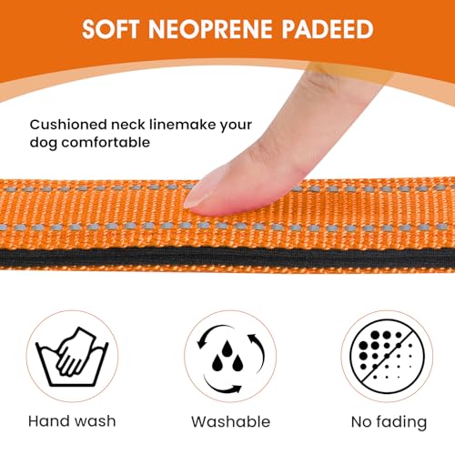 Image of Reflective Dog Collar, Adjustable Nylon for Small Dogs, Orange
