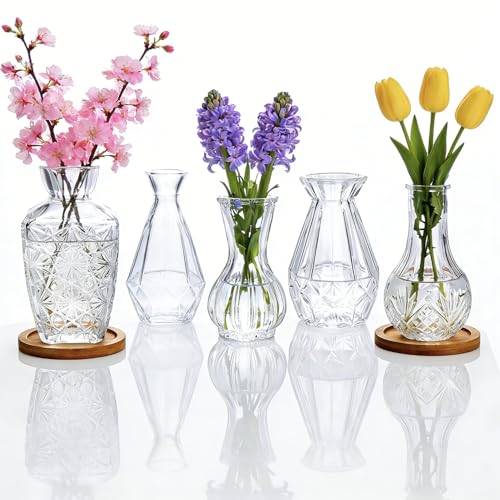 Otauoaea Lot de 5 Mini Vases en Verre - Déco Vintage Transparente - Vases à Fleurs pour Mariage...