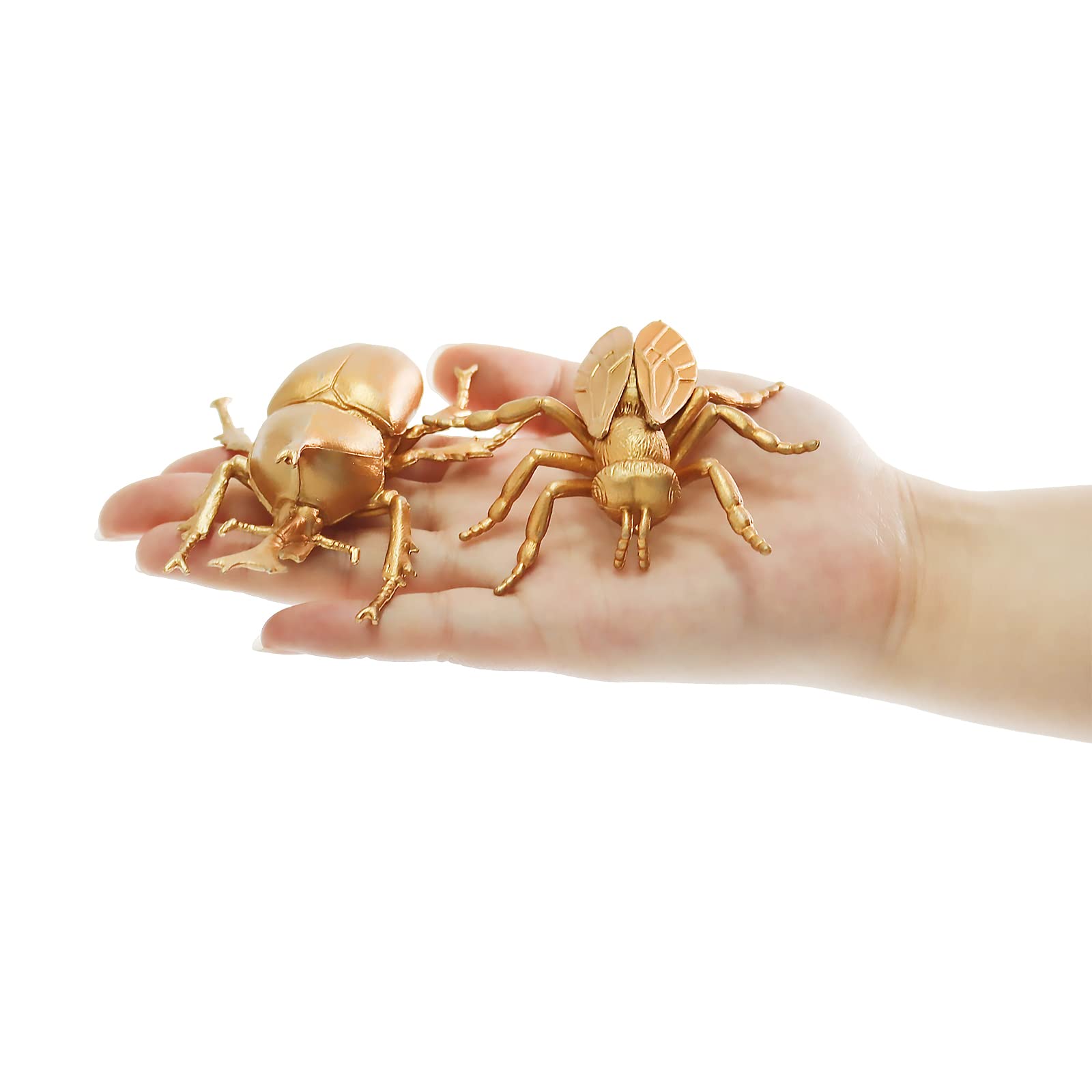 Amazon.co.jp: 虫の置物 12個 プラスチック虫フィギュア Amazon.co.jp: 虫の置物 12個 プラスチック虫フィギュア