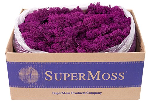 SuperMoss 21786 Reindeer Moss Preserved Black Appx. 3 lb Bulk Case product thumbnail 8