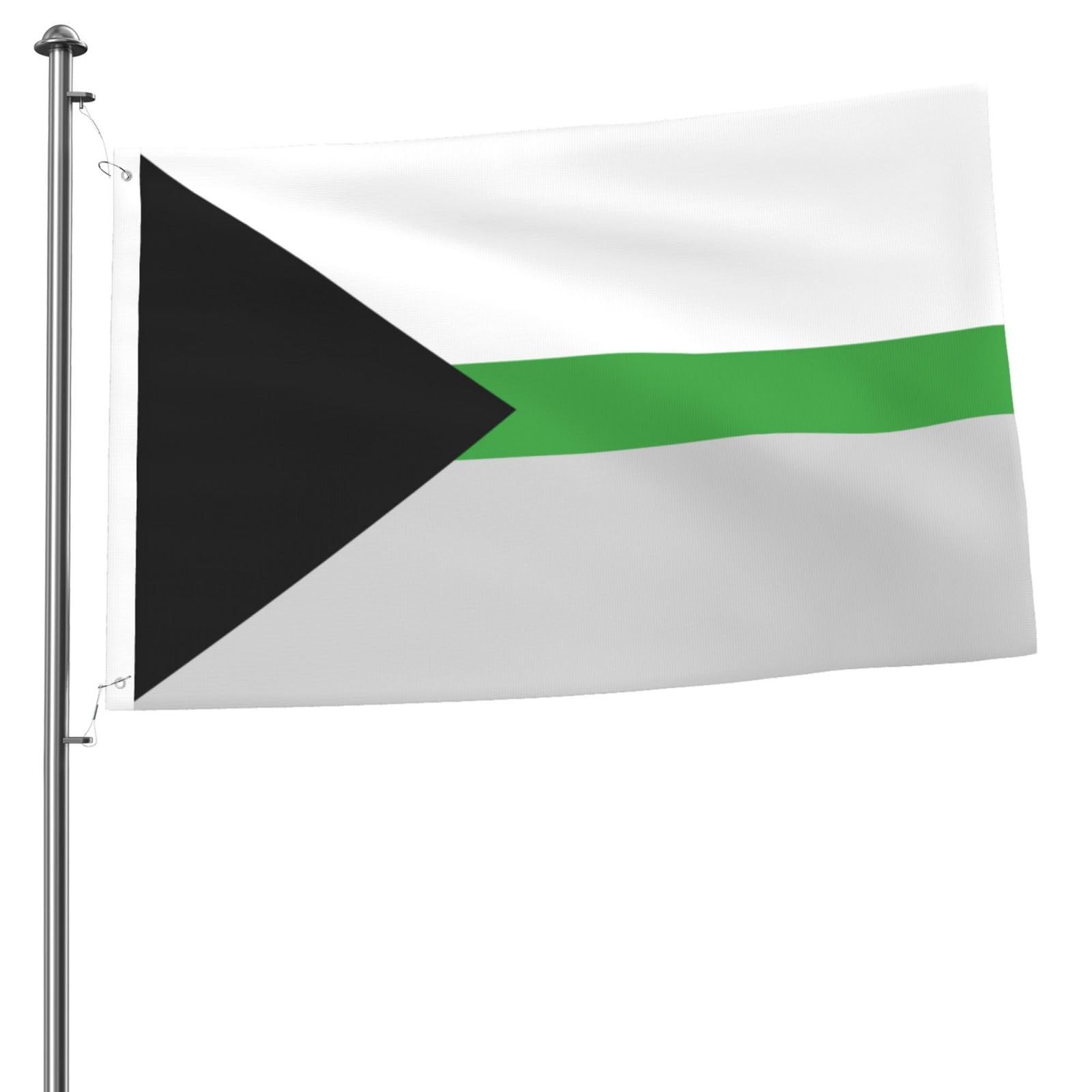 Amazon.com : Demiromantic Pride Flag LGBTQ Premium 2x3FT Flag
