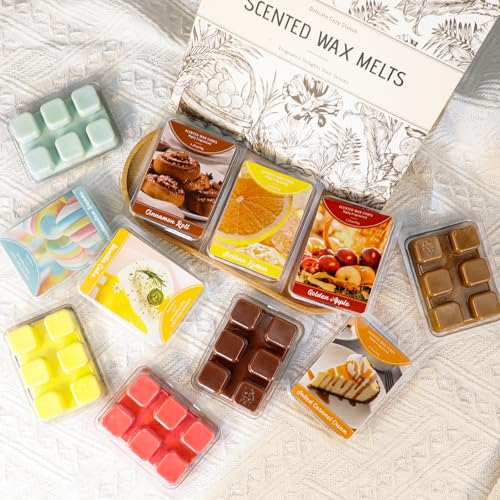 STRN Wax Melts, Soy Wax Cubes Fall Scented Wax Melt for Wax Warmers, 6-Pack - image 7