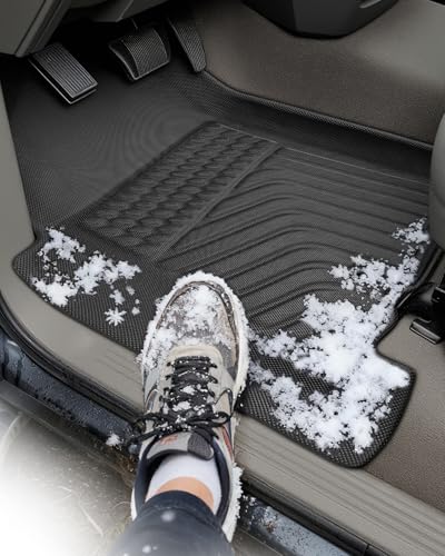 Image of TAPTES Floor Mats for Dodge Ram 1500 Crew Cab (Quad Cab) 2002-2008