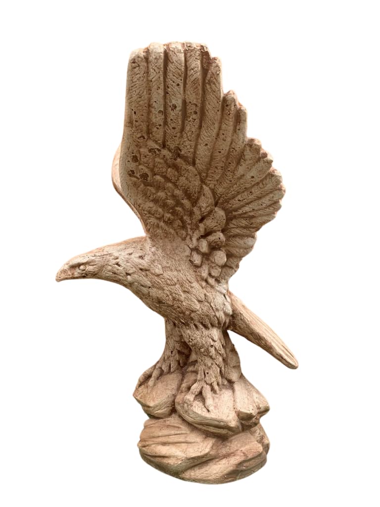 Aquila Media (Marrone)