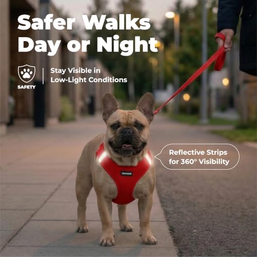 Image of Voyager Step-in Air Dog Vest Harness - Red, XX-Small | 12 - 13.5 inch in Chest, Reflective Bands, All Weather Breathable Air Mesh, Cats Compatible, Lightweight, Fast Drying