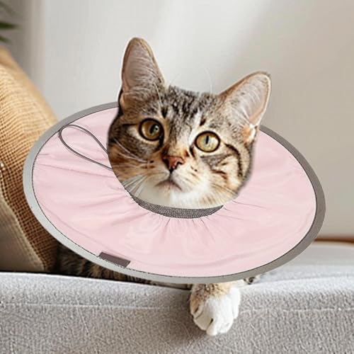 Collar protector para gatos ideal para el descanso en casa 4