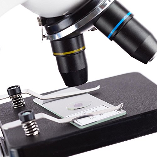 Iqcrew Science Discovery Set With 20X Stereo Microscope And 1000X Compound Microscope For Kids And Students #TOP1