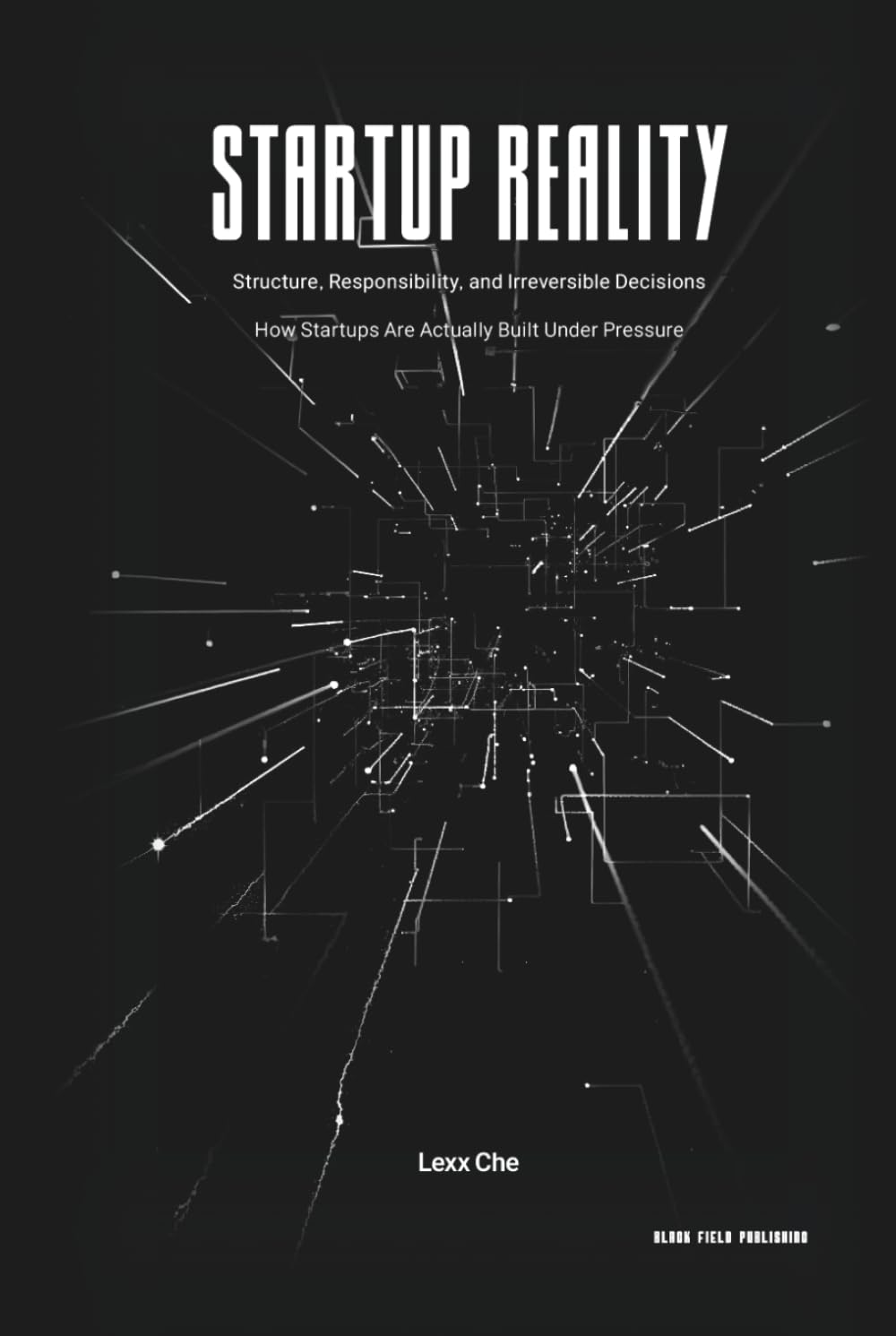 Startup Reality: Structure, Responsibility, and Irreversible Decisions: How Startups Are Actually Built Under Pressure