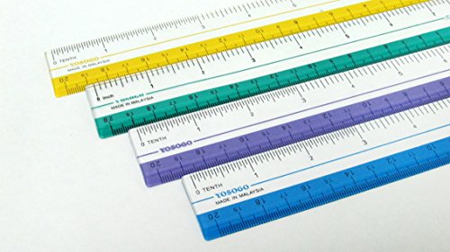 8 Inch Rulers | 20 Cm Rulers | Transparent Plastic Ruler | Pack Of 12 Of Premium Quality Rulers | Yellow, Green, Red And Blue #TOP3