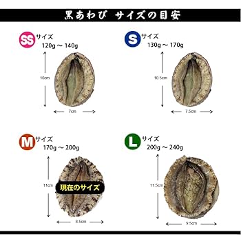 Amazon.co.jp: 天然黒あわび Mサイズ 170～200g 1枚 [あわび