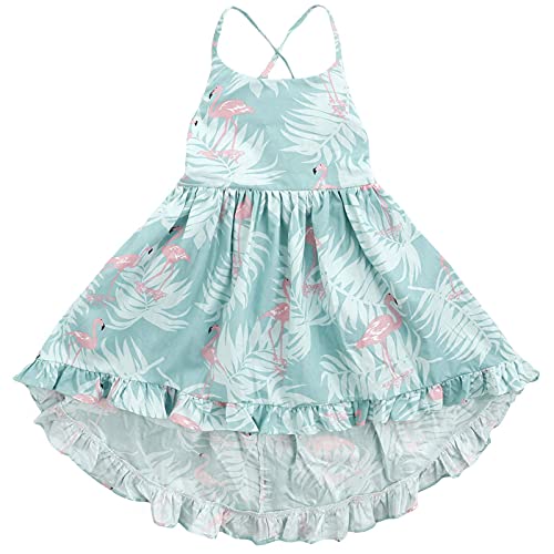Girls Dresses 4T Summer Dress Flamingo Costume Party Dress for Girls 4T Floral Dresses for Girls Casual Dresses for Toddlers Girl Holiday Party Birthday Casual Clothes (A4Flamingo 110)