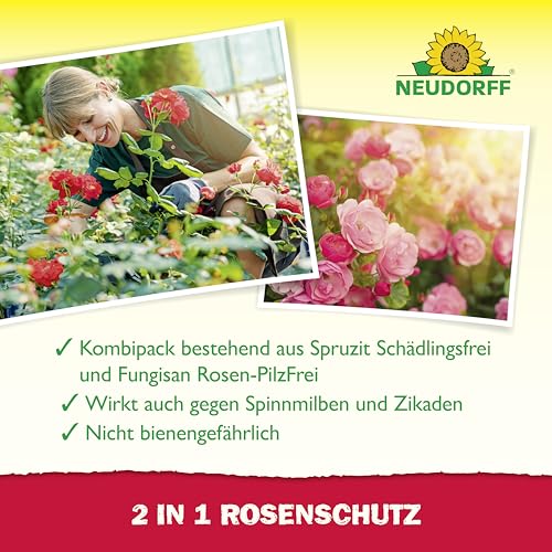 Neudorff 2 in 1 RosenSchutz – Kombipack zur effektiven Bekämpfung von Schädlingen wie Blattläuse und Pilzkrankheiten wie Echten Mehltau an… – Ansicht 4