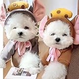 Zoom IMG-1 cat christmas hat pom poms Zoom IMG-1 cat christmas hat pom poms