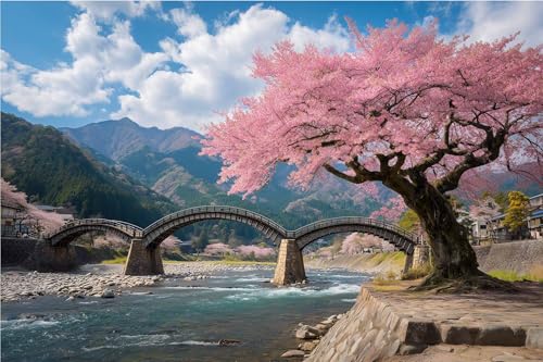 1000s[XpY-s̐쉈̌iF-ƑFl̂߂̃pYMtgA70cmx50cm