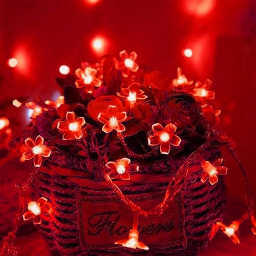 30 LED Red Flower Fairy Lights, Battery/USB Operated, Romantic Floral