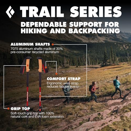 BLACK DIAMOND Trail Cork Trekking Poles (Pair), Cork Grips, Laurel Green by BLACK DIAMOND - Used condition - Image 2