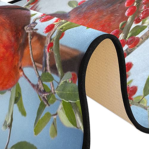 Winter Cardinals Christmas Runner Rug Xmas Snowflakes Holly Berry Kitchen Laundry Rugs Bath Mats Doormat Non Slip Area Rug Soft Floor Door Mat Home Decor 72X24 Inch #TOP5
