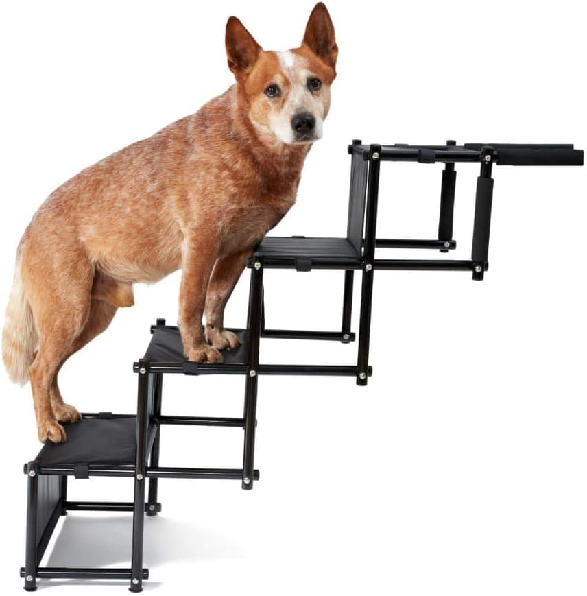 rampa per i cani per salire sul letto alto 30 pollici