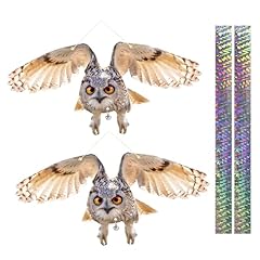 2 Light Brown Winged