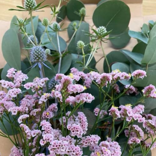 生花 スターチス 花」の人気商品一覧・価格比較 - 価格.com