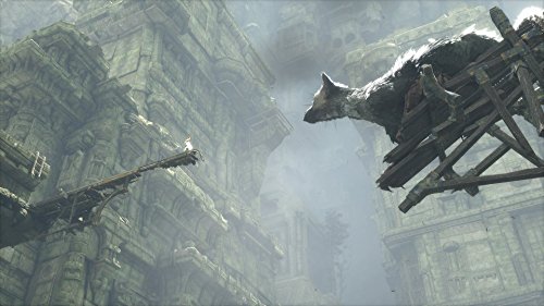 Amazon Com 人喰いの大鷲トリコ 初回限定版 早期購入特典 オリジナルplaystation 4テーマ ミニサウンドトラック がダウンロードできるプロダクトコード封入 Amazon Co Jp限定特典 オリジナルpc壁紙配信 Everything Else