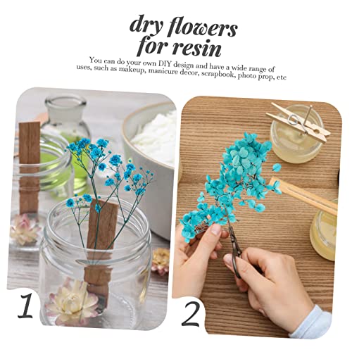 Flores secas naturales para manualidades y decoración miniatura 6
